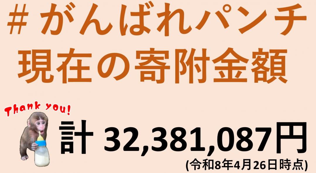 画像：＃がんばれパンチ   現在の寄附金額計 32,381,087円(令和8年4月26日時点)