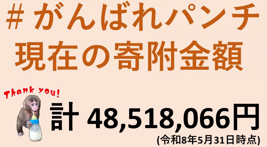 画像：＃がんばれパンチ   現在の寄附金額計 48,518,066円(令和8年5月31日時点)