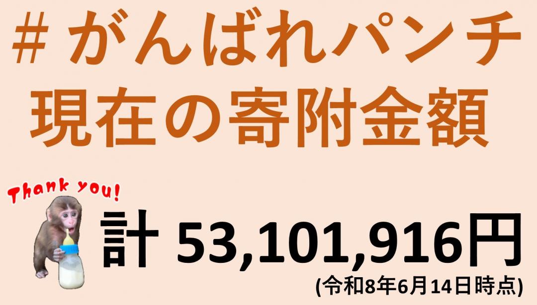 画像：＃がんばれパンチ   現在の寄附金額計 53,101,916円(令和8年6月14日時点)