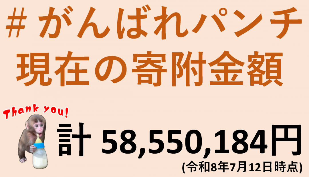 現在の寄附金額（7月12日）