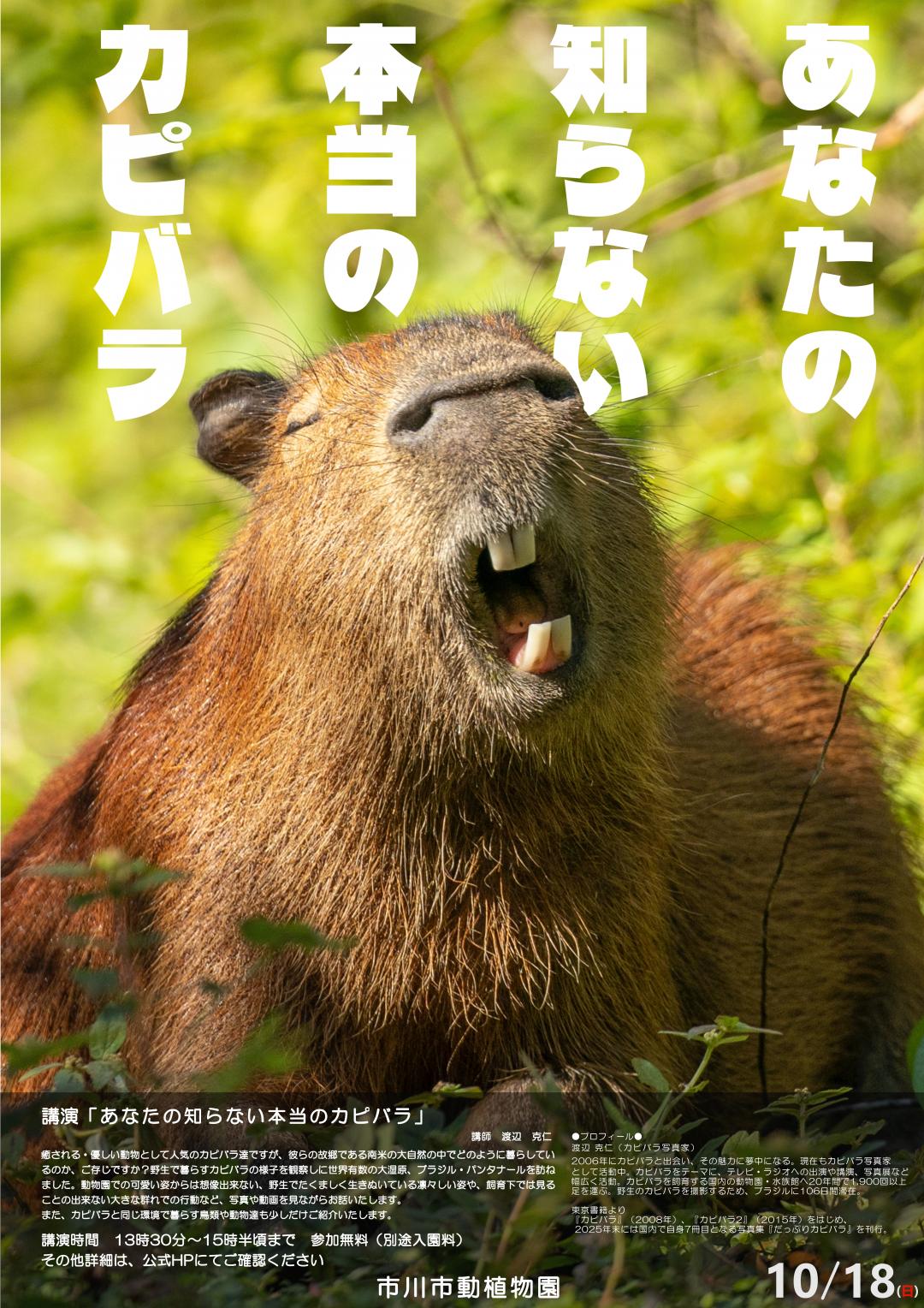 あなたの知らない本当のカピバラ