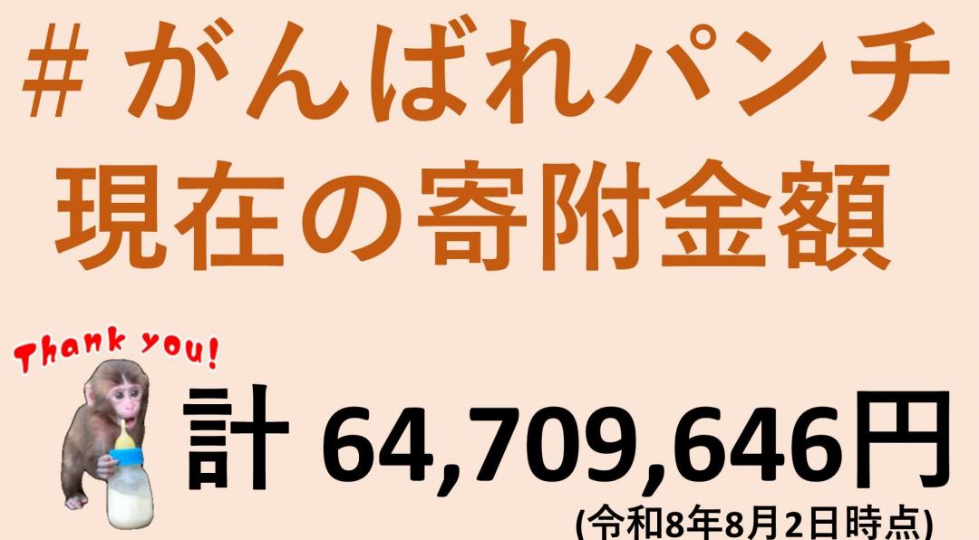 画像：現在の寄附額(8月2日現在)