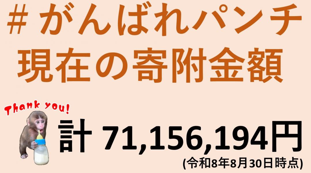 画像：現在の寄附額(8月30日現在)