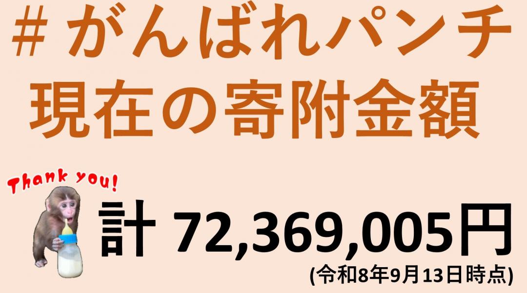画像：現在の寄附額(9月13日現在)