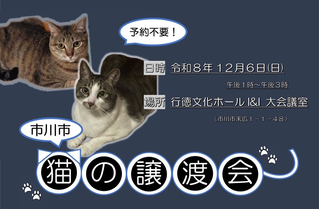 猫の譲渡会