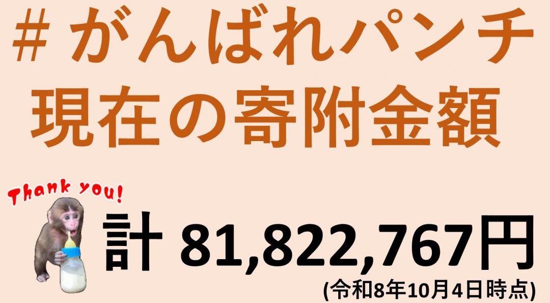 画像：現在の寄附額(10月4日現在)