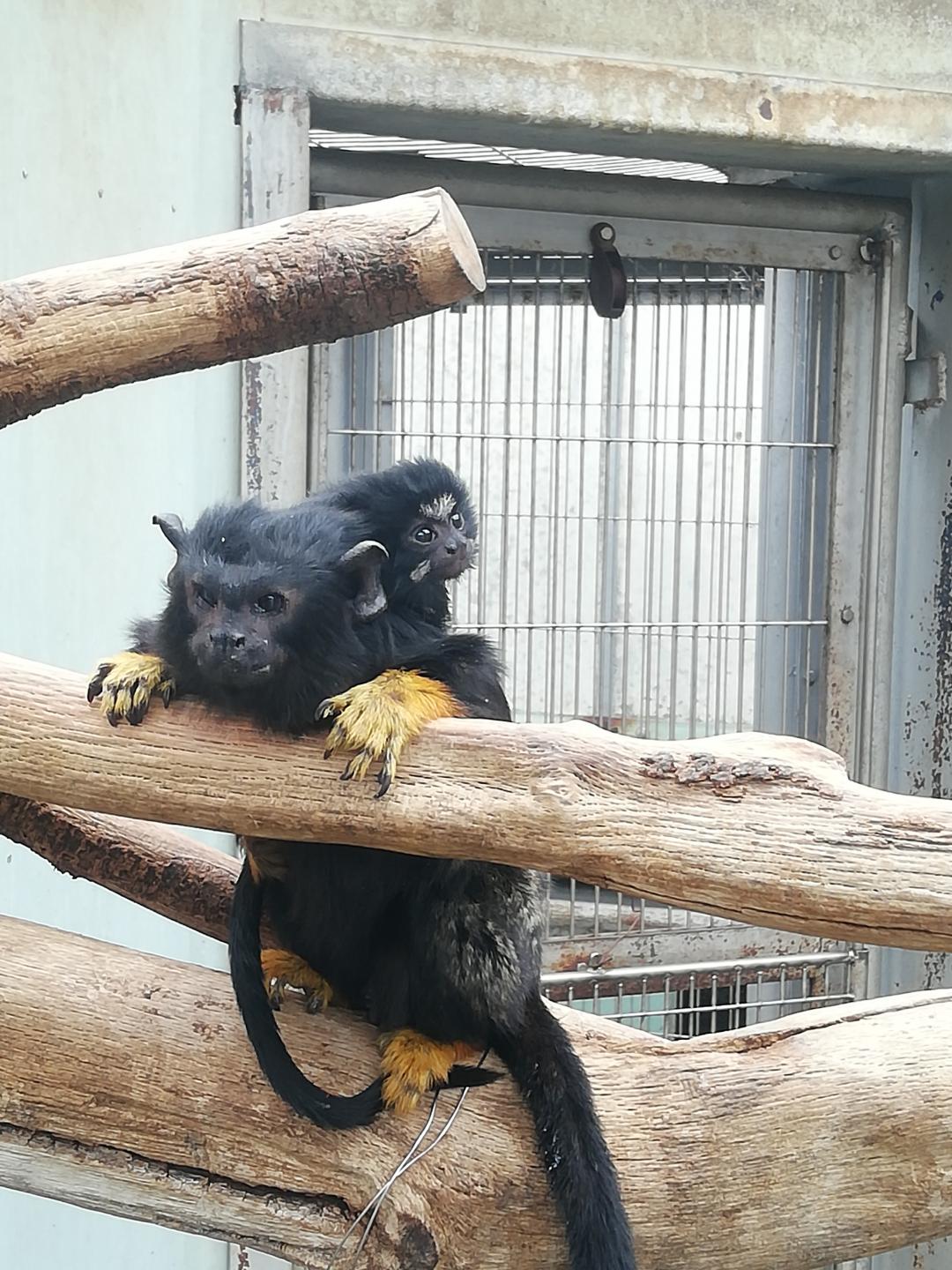 赤ちゃんの写真1