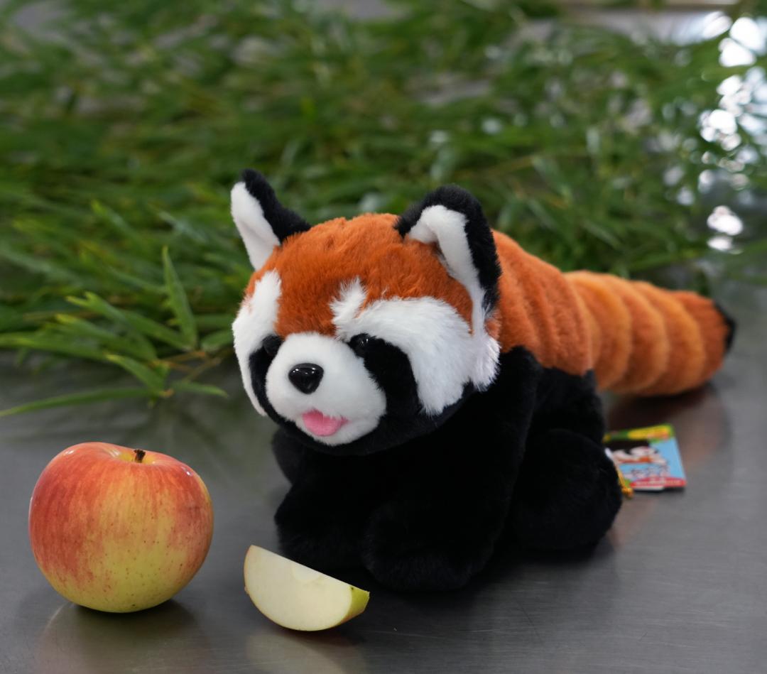 写真：ぬいぐるみの画像1