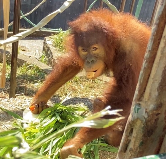 ますますやんちゃになってます！の画像