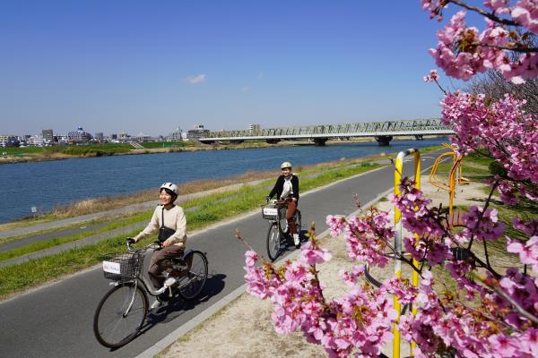 写真：江戸川沿いの散策路