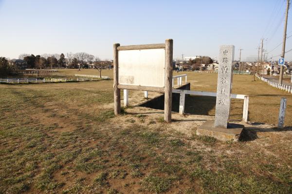 写真：曽谷貝塚の様子