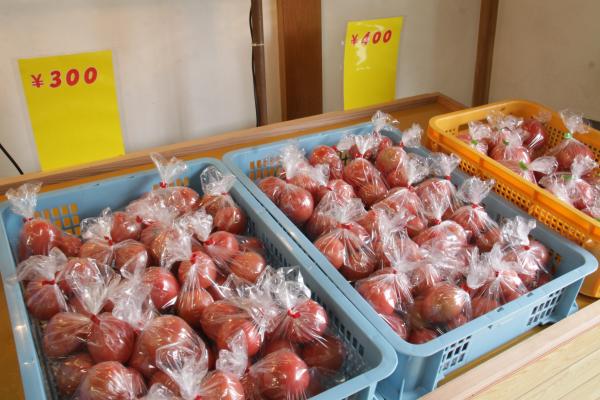 写真：直売所に並ぶトマト