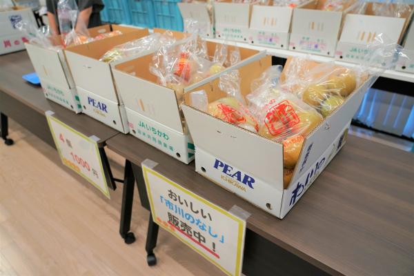 写真：市川の梨が店頭に並ぶ様子