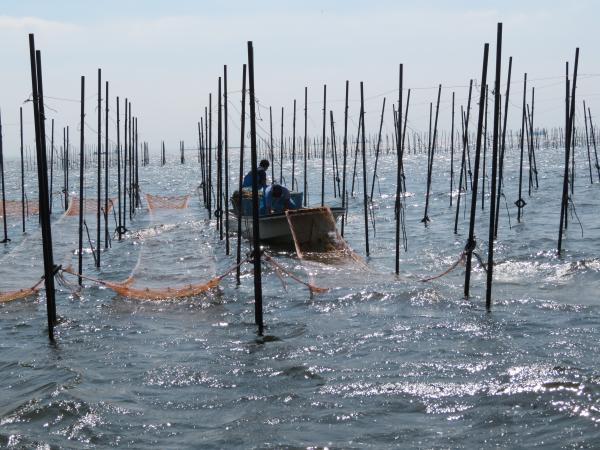 写真：市川ののり