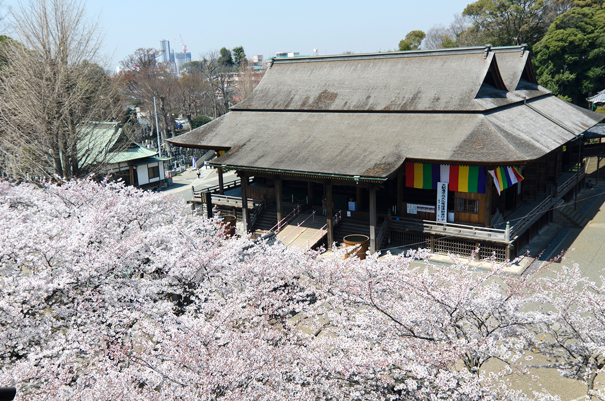 国家指定重要文化财产 法华经寺祖师堂