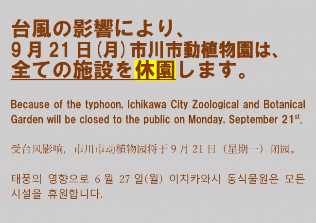 台風25号の接近に伴う臨時休園について