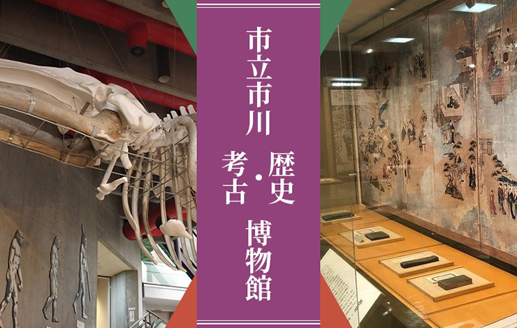 市立市川考古博物館 市立市川歴史博物館